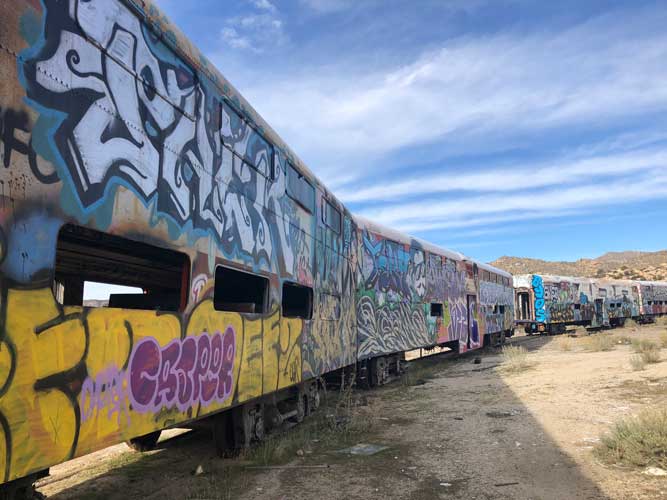 Abandoned Trains