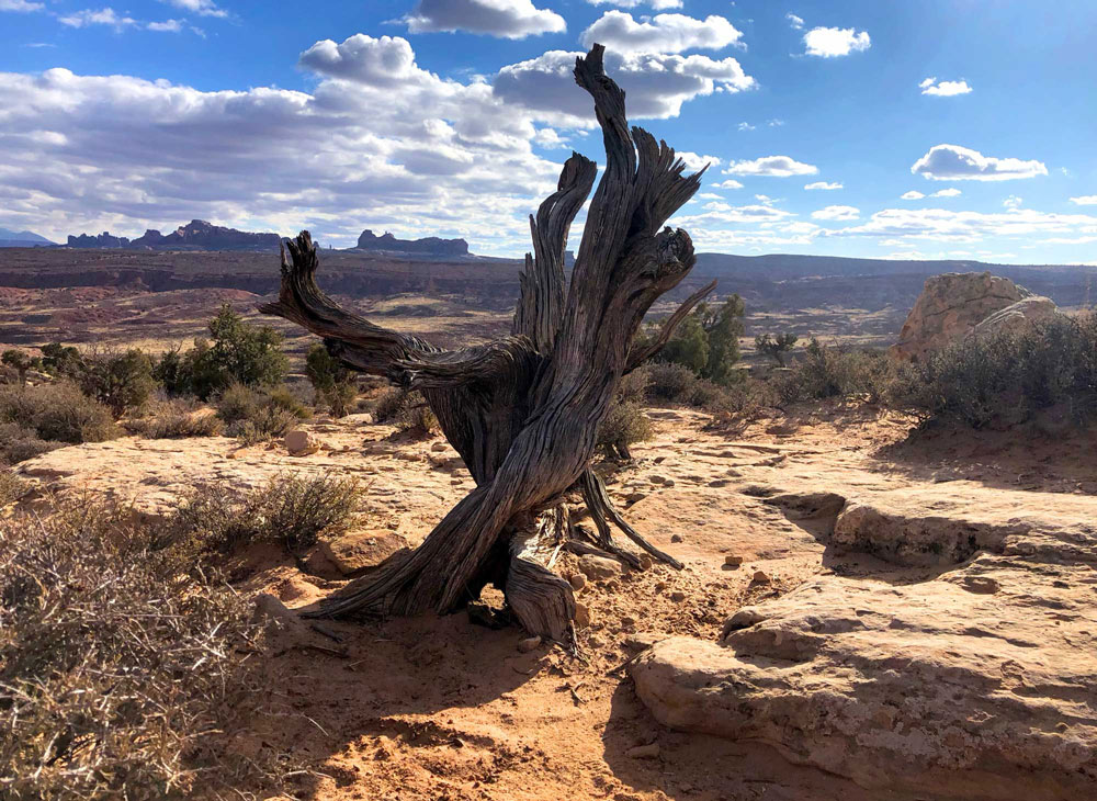 Utah